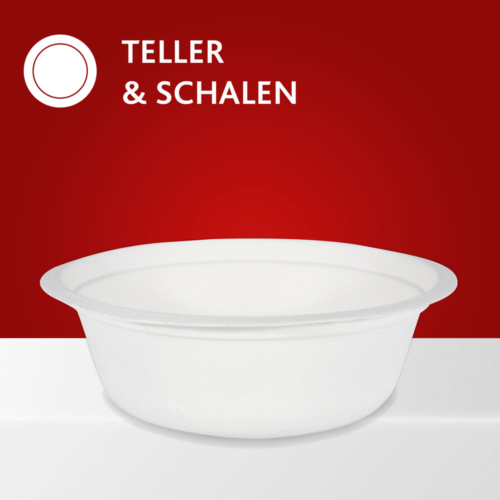 Bio Einwegteller Bagasse kaufen