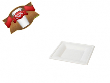 Zuckerrohr (Bagasse) Teller quadratisch 16x16 cm (10x50)