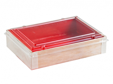 Bio Holzboxen roter Innendruck 165x120x36 mm Food togo o. Deckel (100 Stk.)