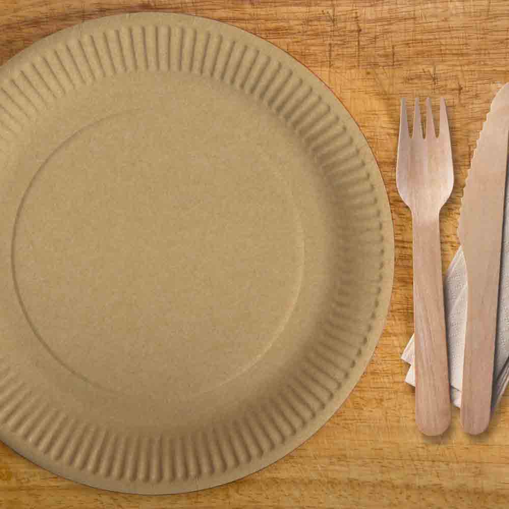 Pappteller Ø 230 x 15 mm kraft braun mit Fettbarriere – stabil & rund