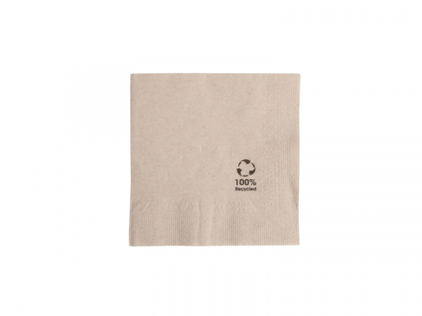 Papier Serviette braun 20x20 cm, 2-lagig 1/4 Falz (48x100)