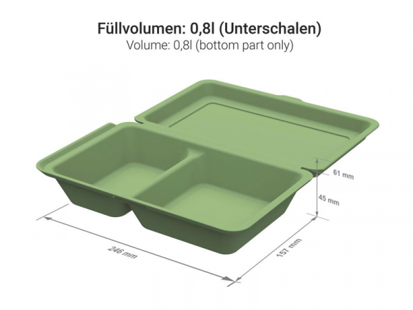 Mehrweg Menüboxen "ToGo" medium grün 157 x 246 x 61 mm (50 Stk.)